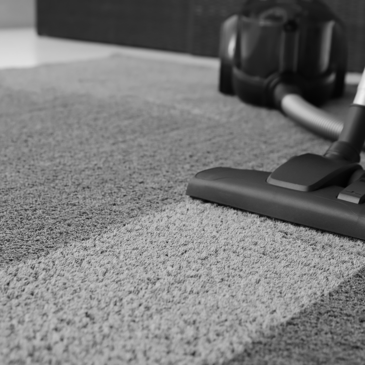 Carpet Care GreenWay Chemical